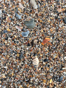 Can you find it?