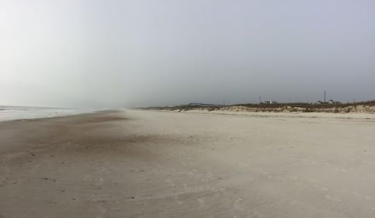 Foggy, peaceful morning stroll