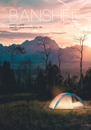 banshee2cover2