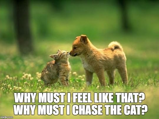 Why must I feel like that? Why must I chase the cat?
