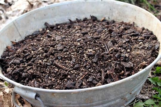 fairy-garden-soil-container