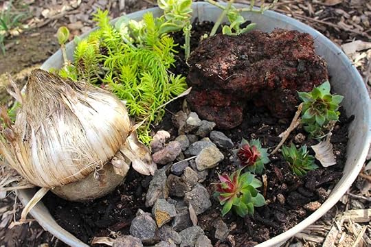 fairy-garden-low-water