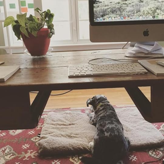 11893781_866895550061297_392606321810636885_o