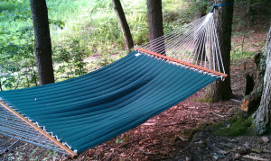 Shack hammock (1)