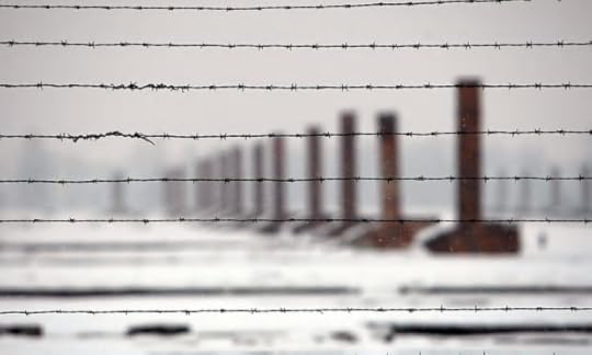 Chimneys of Auschwitz-Birkenau concentration camp. Photograph: Eric Gaillard/Reuters photo Camp_zpsvqtasbtx.png