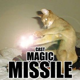 dnd cat magic missile