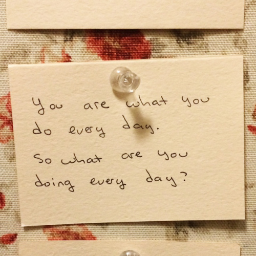 Daily Rituals 1