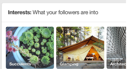 You can see what other topics your audience is into, to tailor your pins to speak to the interests.