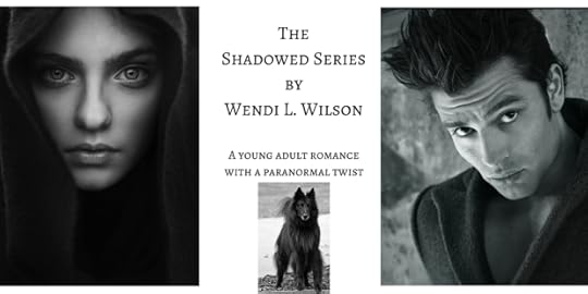 TheShadowed SeriesbyWendi L. Wilson