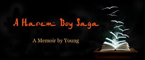 AHaremBoySaga - banner-small