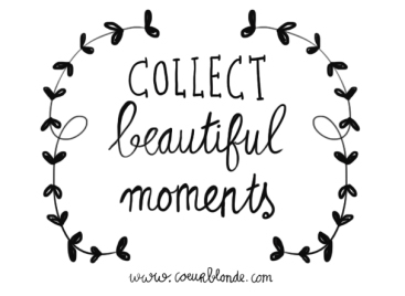 collect.jpg