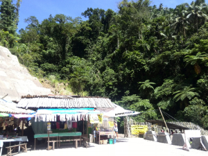 Tuasan Falls Review 3 - Getting to Tuasan Falls 2 - Survive Travel