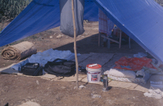 My Bedroom complete with spiders nearly the size of your fist