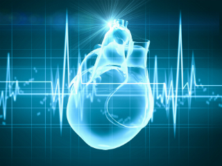 Heart Rate Variability Final