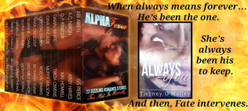 e9d46-12697349_10201477730622980_7511610288698711560_o2b252822529