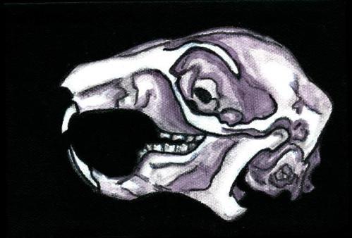 The skull of the other mammal I'm regularly associated with, the squirrel. I made its teeth less scary in this painting than the teeth featured in Night of the Squirrels. 