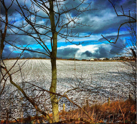 Screen Shot 2016-04-04 at 12.51.25