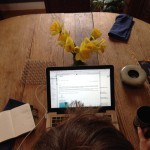 DeskW:Daffodils