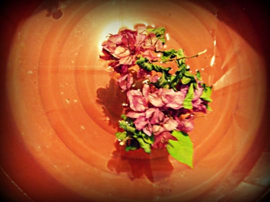 triumph and contrast march 2016 DSCN2217.jpg