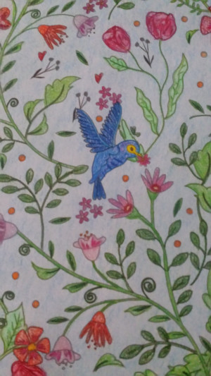 Blue Birds