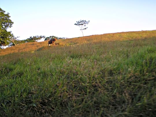 scale and observation march 2016 131.jpg