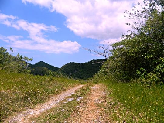 landscape cockpit country march 2015 DSCN2192