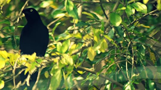 photo 101 moment and motion march 2019 P1080239