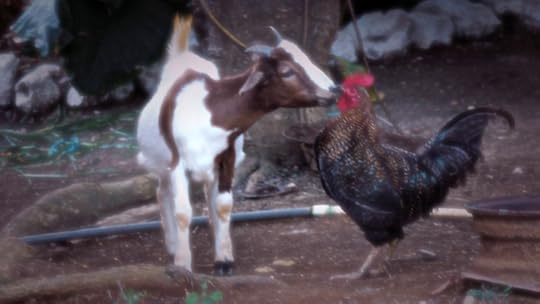 photo 101 connect march 2016 P1080249