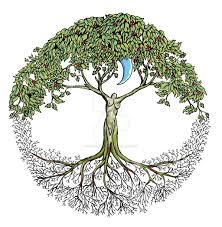 tree32