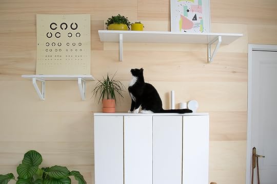 Pim en de muur 2 crop