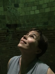 fran by Steven Gould