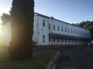IMG_0290