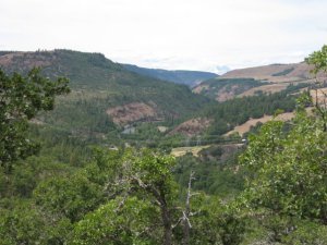 10401000_33247507655_8517_n