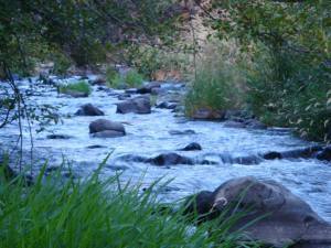 10339571_10153159240812656_9087453022199759463_n-1