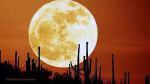 supermoon