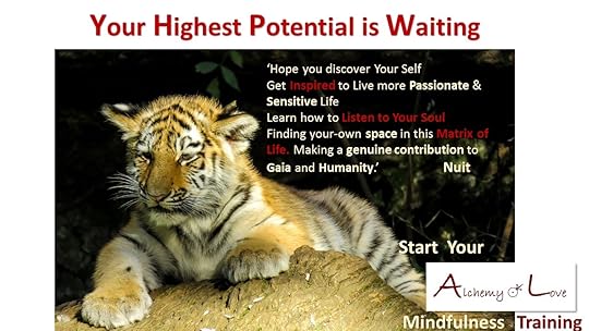 Mindful Being Book Review: Self development journey quote by Nuit about mindfulness training