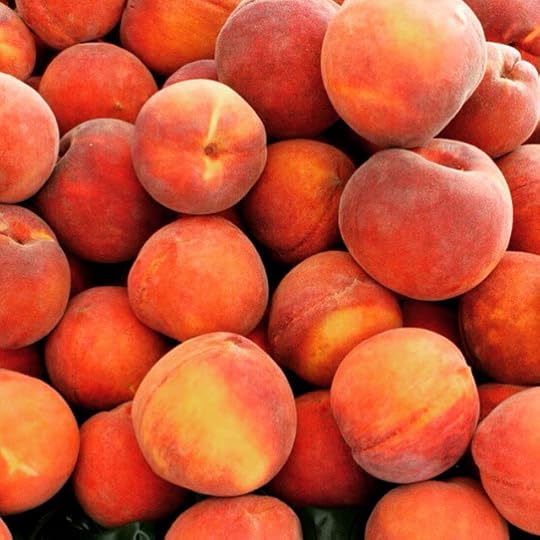 NationalPoetryDay.Day6