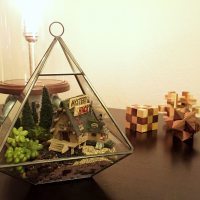 The finished diorama / terrarium.