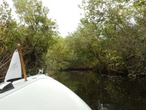SW FL Conservancy River Tour1