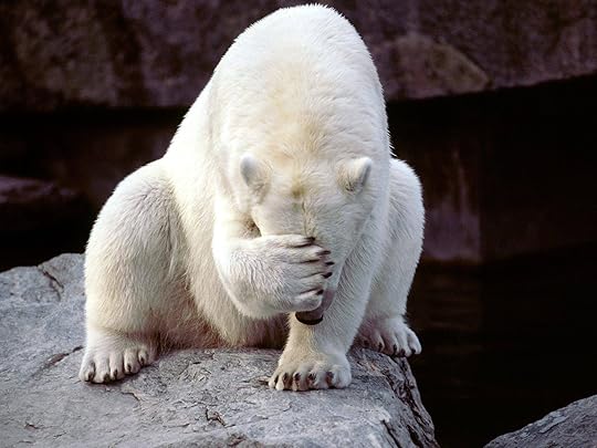 embarrassed-bear
