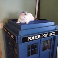 astromark_cat_tardis1