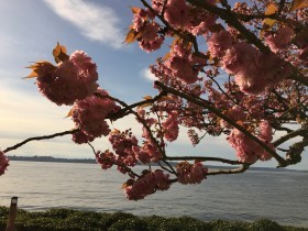 aprilcherrykirkland2016