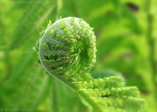 Unfolding1
