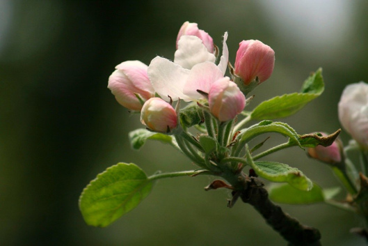 Unfolding2