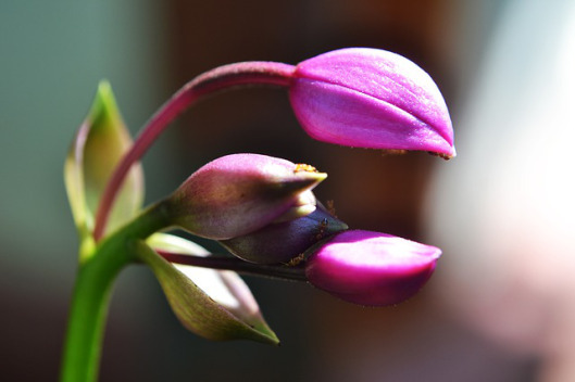 unfolding3