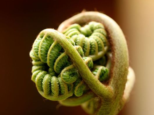 Unfolding5