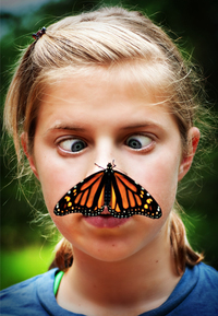 Photo: Got milkweed? Monarchs still need your help