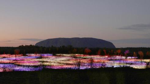 fieldoflightuluru