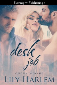 Desk-Job-evernightpublishing-JayAheer2016-finalimage-1
