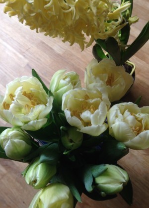 En bild till på mina vackra blommor. Ljust citrongula tulpaner, och en blekt gul hyacint.